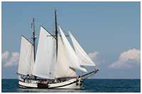 24. Hanse Sail Rostock vom 7.-10. August 2014